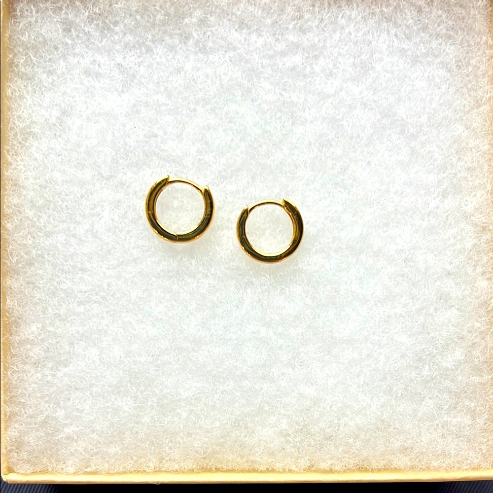 Gold Hoop Earrings